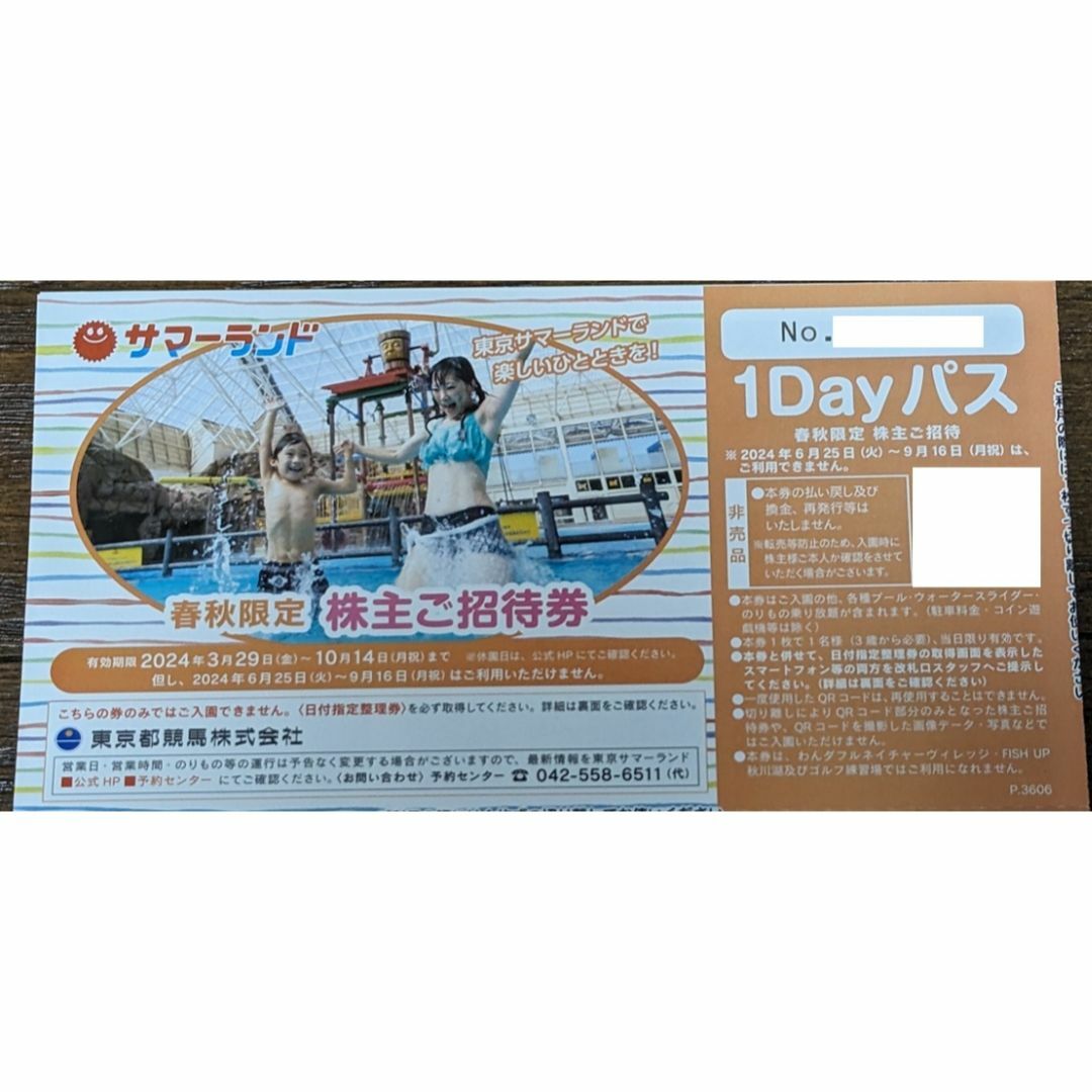 東京サマーランド優待券 (東京サマーランド 株主優待券16枚 東京サマーランド優待券 (東京サマーランド 株主優待券16枚