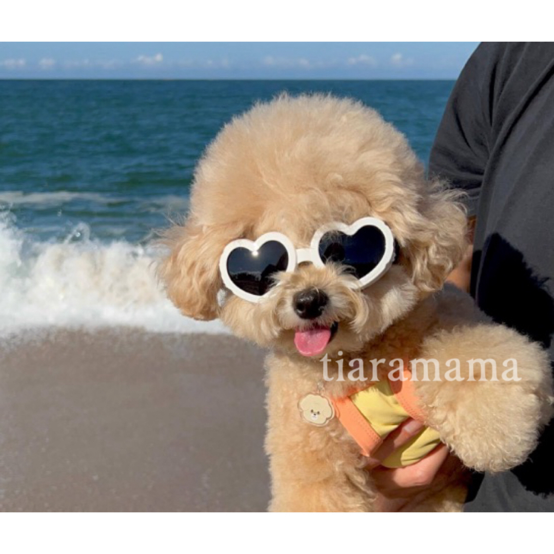 おしゃれ水着　犬服　ペット洋服　夏　海　 ハンドメイドのペット(ペット服/アクセサリー)の商品写真