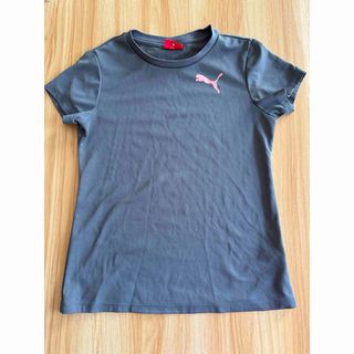 プーマ(PUMA)の中古(Tシャツ(半袖/袖なし))