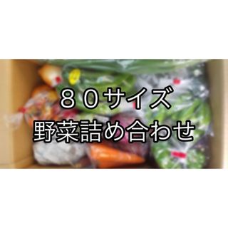 【大人気！！】80サイズ　野菜詰め合わせ　野菜ボックス　茨城県産(野菜)