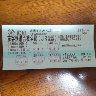 青春1８切符　1回分(鉄道乗車券)