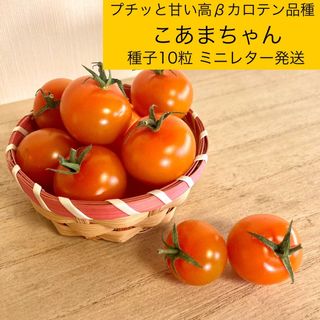 ⭐️甘くて高βカロテン⭐️こあまちゃん ミニトマト種子10粒(野菜)