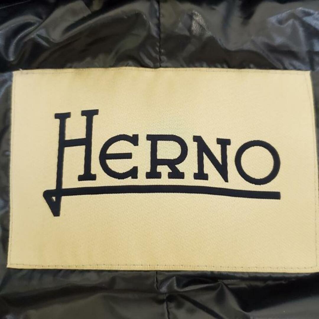 HERNO(ヘルノ)のHERNO(ヘルノ) ダウンジャケット サイズ42 M レディース美品  - ネイビー×ダークネイビー 長袖/冬 レディースのジャケット/アウター(ダウンジャケット)の商品写真