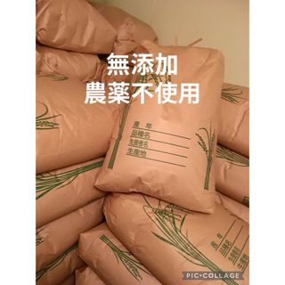 にこまる 10kg 農薬不使用 玄米 国産 農家直送 美容健康 無添加 即日配送(米/穀物)