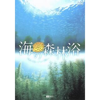 シンフォレストＤＶＤ　海の森林浴　フォレスト・イン・ブルー(ドキュメンタリー)