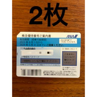 エーエヌエー(ゼンニッポンクウユ)(ANA(全日本空輸))のANA 航空券　2枚(航空券)