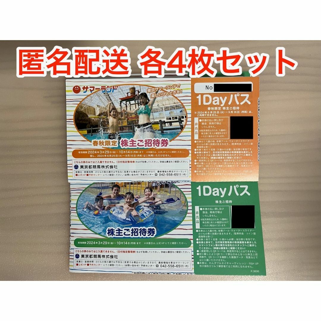 【最新】東京都競馬 株主優待券 サマーランド 1Dayパス8枚セット チケットの施設利用券(プール)の商品写真