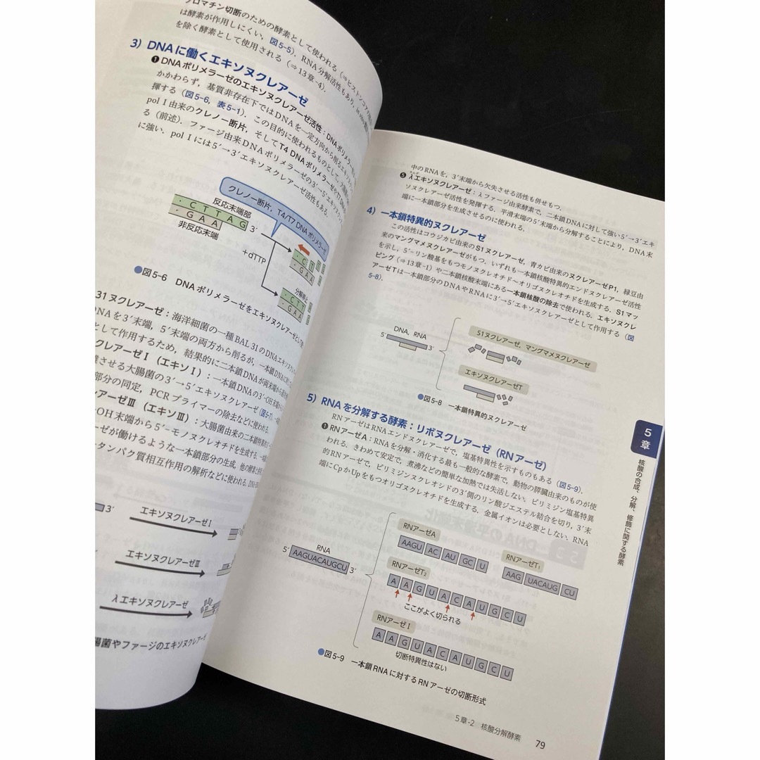 基礎から学ぶ遺伝子工学　第3版　新品　値下げ不可 エンタメ/ホビーの本(科学/技術)の商品写真