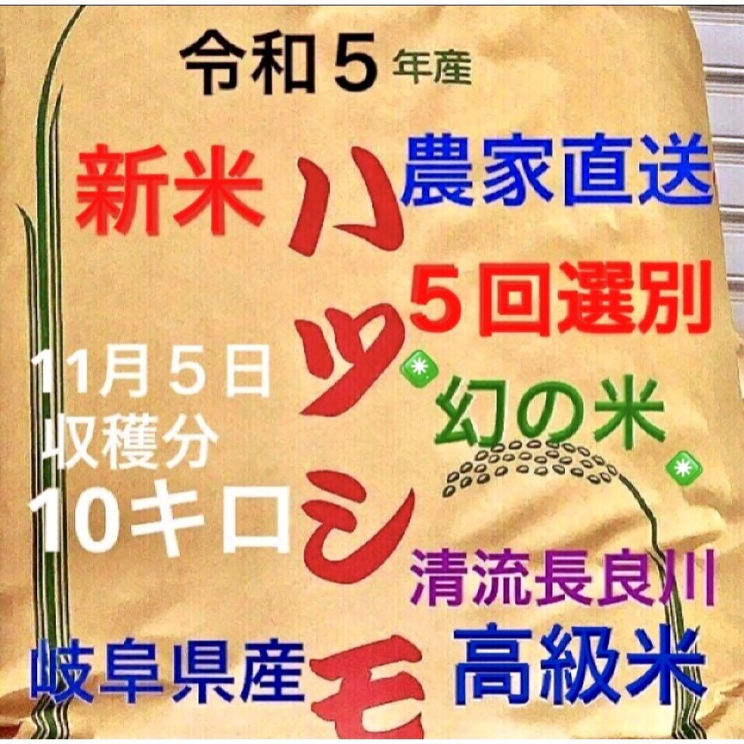 ⭐️⭐︎ACO⭐︎様専用⭐️ 令和５年産✳️５回選別・有機肥料・ハツシモ１０キロ 食品/飲料/酒の食品(米/穀物)の商品写真