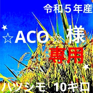 ⭐️⭐︎ACO⭐︎様専用⭐️ 令和５年産✳️５回選別・有機肥料・ハツシモ１０キロ(米/穀物)