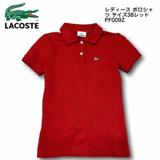 ラコステ(LACOSTE)のラコステ レディース ポロシャツ サイズ38レッド(ポロシャツ)