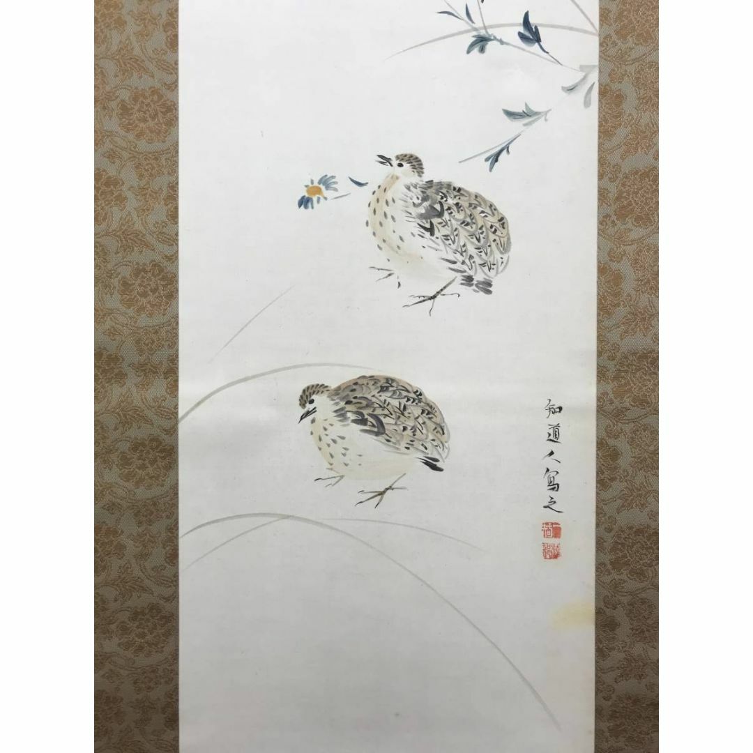 真作/矢野橋村/秋草鶉図/花鳥図/ウズラ図/掛軸☆宝船☆AE-406 真作/矢野橋村/秋草鶉図/花鳥図/ウズラ図/掛軸☆宝船☆AE-406
