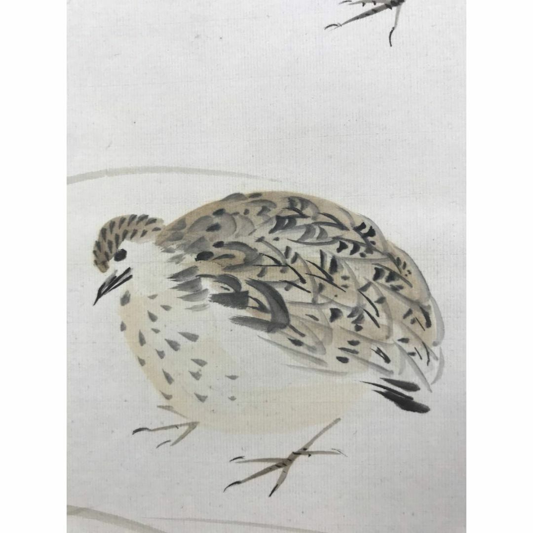 真作/矢野橋村/秋草鶉図/花鳥図/ウズラ図/掛軸☆宝船☆AE-406 真作/矢野橋村/秋草鶉図/花鳥図/ウズラ図/掛軸☆宝船☆AE-406