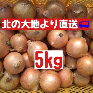 産地直送　北海道産玉ねぎ5kg(Ｌ大)(野菜)