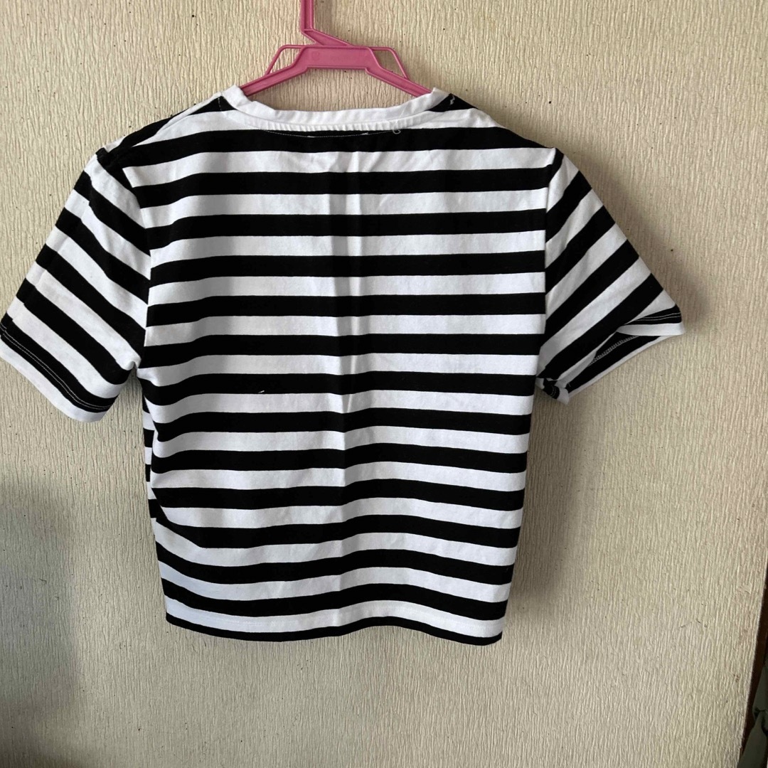 ZARA(ザラ)のチビTシャツ レディースのトップス(Tシャツ(半袖/袖なし))の商品写真