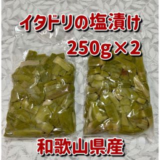 イタドリの塩漬け 250g×2(その他)