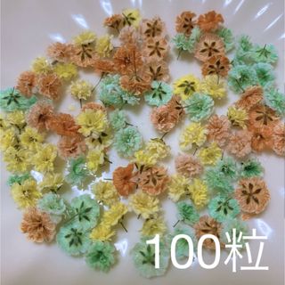 オレンジ×ミントグリーン系 かすみ草ドライフラワー100粒(ドライフラワー)