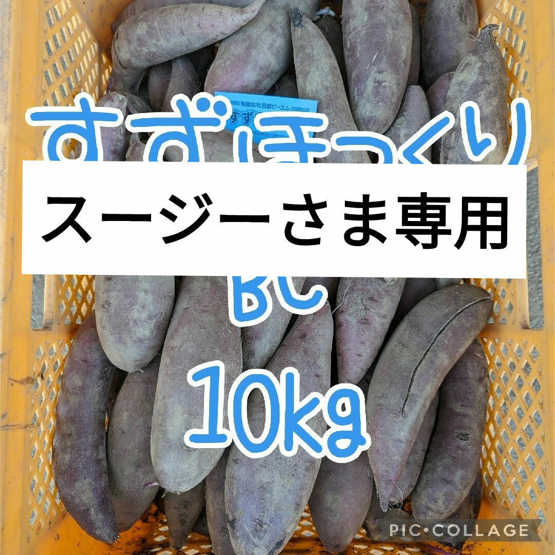 スージさま専用　すずほっくりBC、紅あずまBC、小さい栗かぐや　合わせて10kg 食品/飲料/酒の食品(野菜)の商品写真