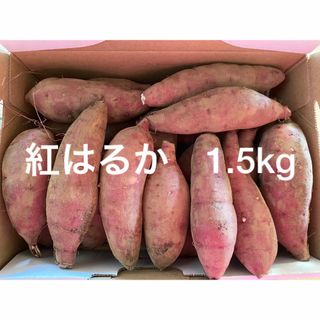 紅はるか　1.5kg さつまいも　小さいサイズ(野菜)