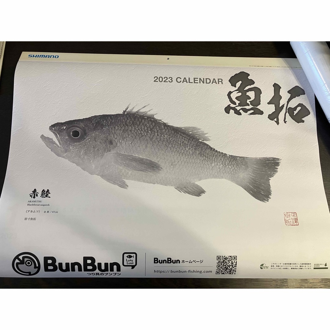 SHIMANO(シマノ)のshimano 魚拓　カレンダー　2023 インテリア/住まい/日用品の文房具(カレンダー/スケジュール)の商品写真