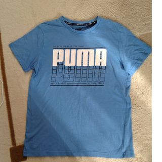 プーマ(PUMA)のPUMAシャツ160cm(Tシャツ/カットソー)