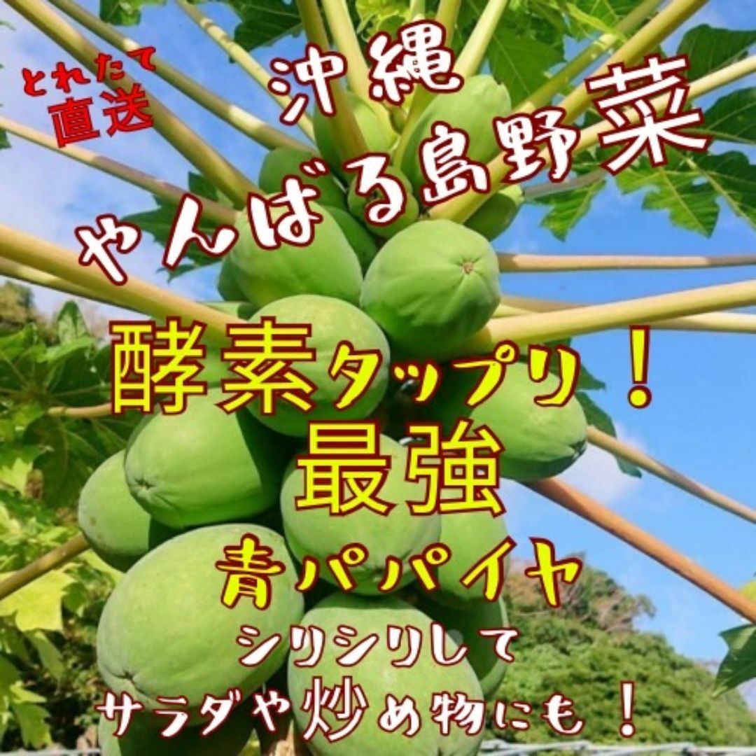 お値下げ！沖縄産青パパイヤおまかせ1.5kg以上！サラダや炒め物にも！ 食品/飲料/酒の食品(野菜)の商品写真