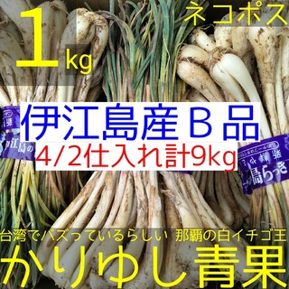 伊江島産 島らっきょうＢ品約１kg【ネコポス】①4/2(野菜)