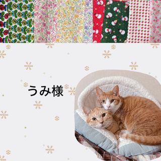 猫首輪　×2(リード/首輪)