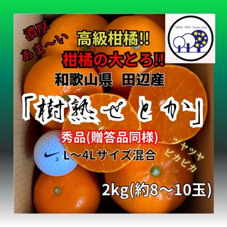 ④数量限定!和歌山県田辺産 せとか オレンジ みかん 蜜柑 柑橘 秀品2kg(フルーツ)