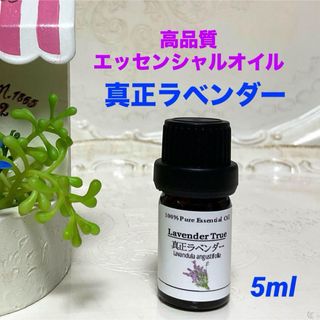 【今だけ特別価格】お試しサイズ　真正ラベンダー　5ml  エッセンシャルオイル(エッセンシャルオイル（精油）)