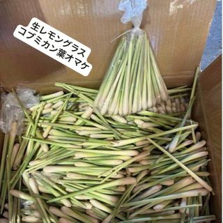 香り良い生レモングラスお料理用1kg約。コブミカンオマケ。(野菜)