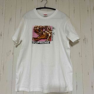 シュプリーム(Supreme)のsupreme Tシャツ(Tシャツ/カットソー(半袖/袖なし))