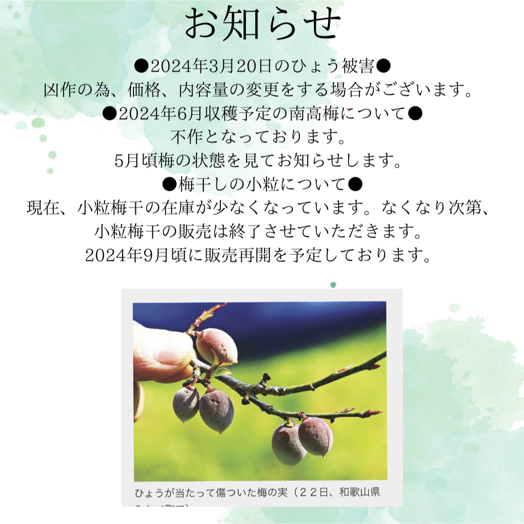 【訳あり】昔ながらの梅干し1kg  紀州南高梅 和歌山県産 農家直送 食品/飲料/酒の食品(その他)の商品写真