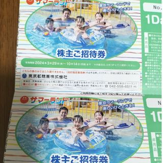 東京サマーランドの1DAYパス２枚(遊園地/テーマパーク)