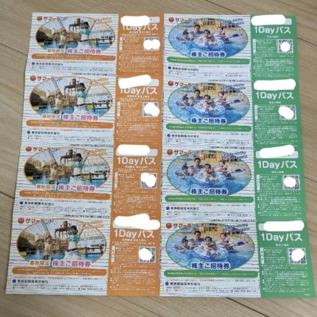 東京都競馬　株主優待券 チケットの施設利用券(遊園地/テーマパーク)の商品写真