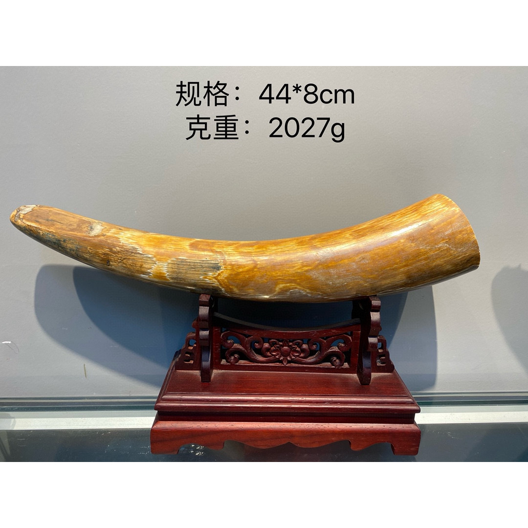 天然マンモス牙美しい手作り彫刻 1マンモス牙·原皮素 置物の通販 天然マンモス牙美しい手作り彫刻 1マンモス牙·原皮素 置物の通販