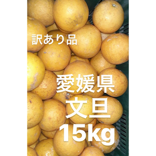 訳あり品　愛媛県産　文旦　柑橘　15kg(フルーツ)
