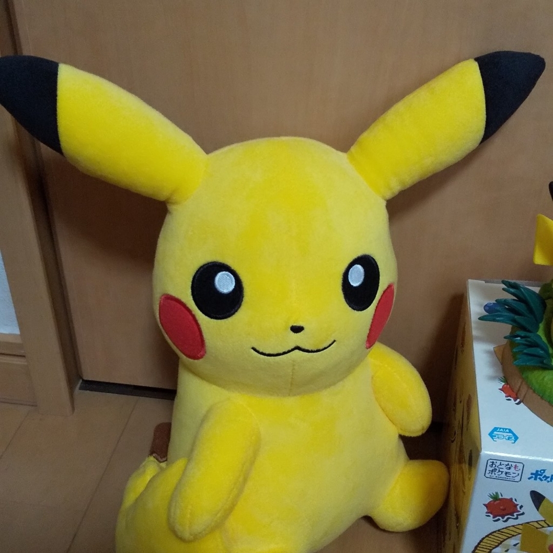 ポケモン  まとめ売り エンタメ/ホビーのおもちゃ/ぬいぐるみ(キャラクターグッズ)の商品写真