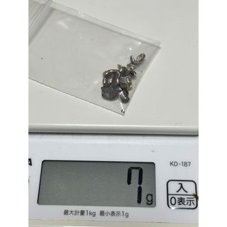 撤去冠7g(その他)