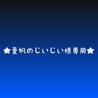 矢沢永吉ステッカー★夏帆のじいじい様専用★(ミュージシャン)