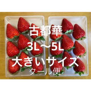 クール便　古都華　3L〜5L 大きめ　いちご　奈良県　橋本農園　コトカ　ことか(フルーツ)