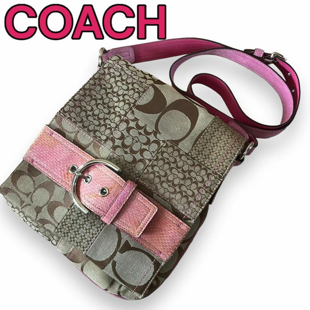 COACH(コーチ)の大人気パッチワーク　COACH　ショルダーバッグ　シグネチャー　パイソン型押し レディースのバッグ(ショルダーバッグ)の商品写真