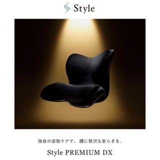 新型MTG/Style PREMIUM DX姿勢矯正 骨盤サポート座椅子 (座椅子)