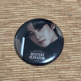 アストロ(ASTRO)のチャウヌ mystery elevator 缶バッジ(アイドルグッズ)