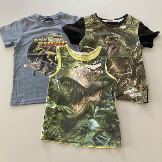 BlueMartブルーマート転写プリント恐竜Tシャツ ３枚セット(Tシャツ/カットソー)