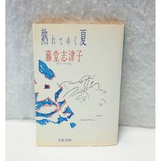 熟れてゆく夏、藤堂 志津子(文学/小説)