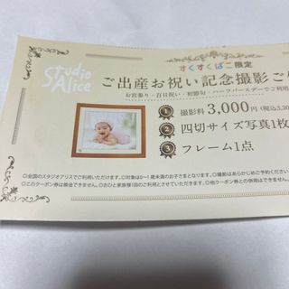 スタジオアリス　すくすくばこ限定出産お祝い記念写真撮影券(その他)