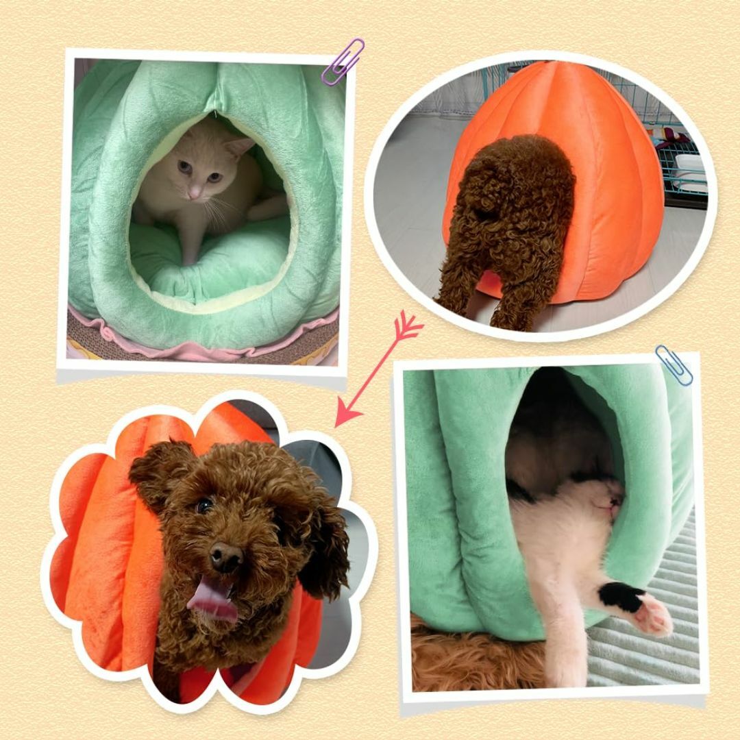 【色: オレンジ】Bidason 猫 ベッド ペット ハウス ドーム型 ふわふわ その他のペット用品(猫)の商品写真