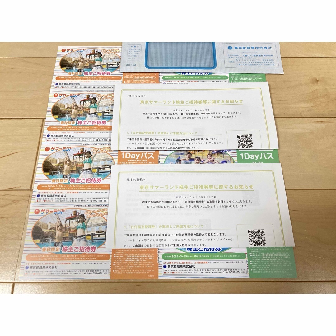 東京サマーランド1dayパス セット 東京都競馬株主会社株主優待 東京サマーランド1dayパス セット 東京都競馬株主会社株主優待