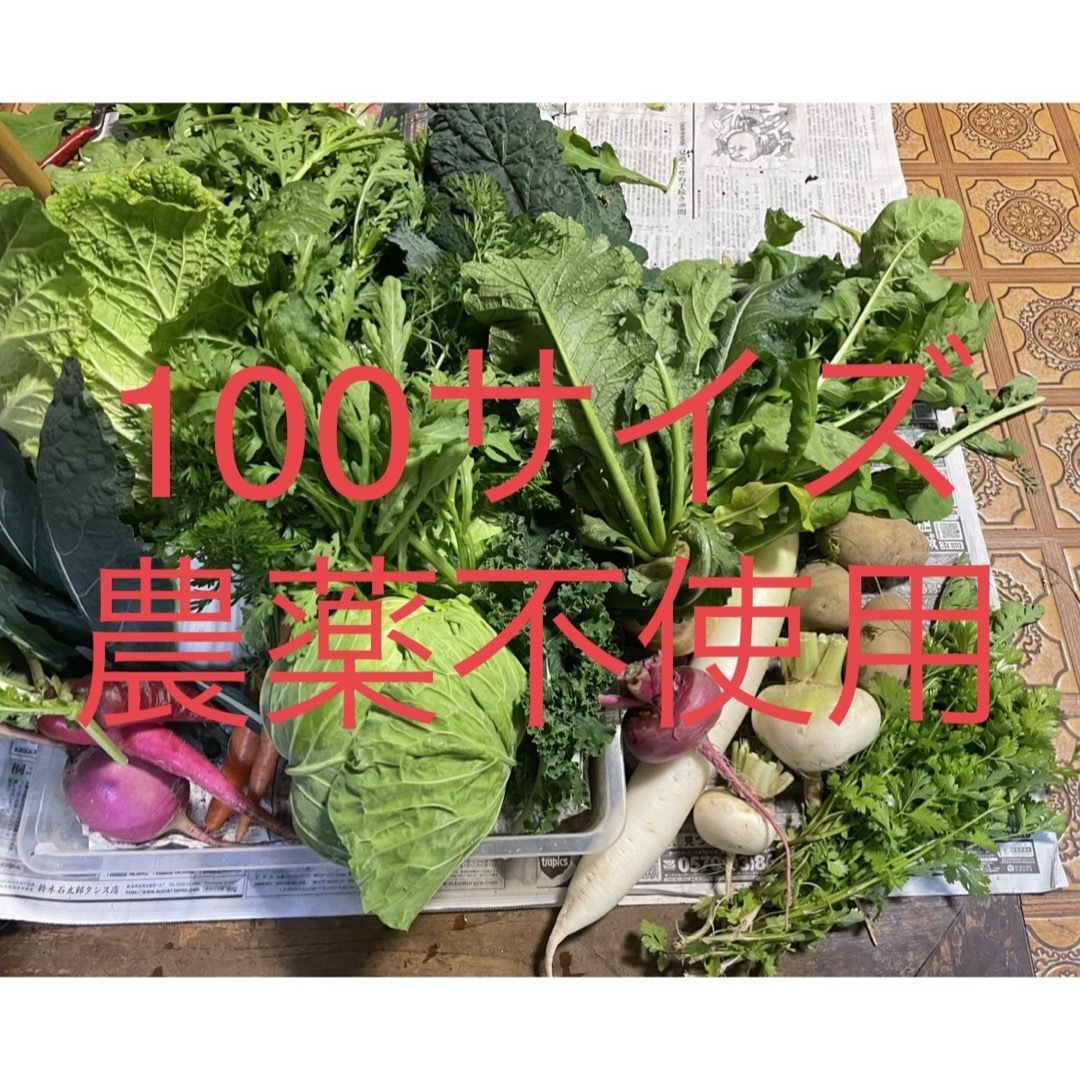 無農薬野菜詰め合わせ　(100サイズ) 食品/飲料/酒の食品(野菜)の商品写真